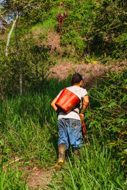 Kolombiya 'nın Riosucio şehrinde Kolombiya' nın And Dağları 'ndaki kahve toplamak için katır yollarında yürüyen bir Latin köylü..