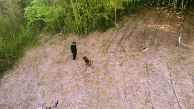 Erişkin erkek Kolombiyalı mestizonun Medellin, Kolombiya yakınlarındaki çiftlikte kahverengi köpeğiyle mutlu mesut oynadığı drone videosu.