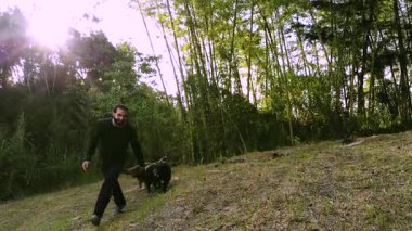 Medellin, Kolombiya yakınlarındaki bir çiftlikte, sınırdaki collie köpekleriyle oynayan yetişkin erkek mestizonun insansız hava aracı videosu.
