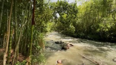 Sakin tropikal nehir sabah güneşinde El Santuario, Risaralda 'ya doğru geliyor. Yeşil bitki örtüsüyle çevrili huzurlu bir akışı gösteren statik bir çekim.