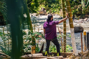Ekose gömlekli bir adamın ağaca dokunuşunu ve Kolombiya ormanlarındaki yemyeşil nehri gözlemlemesini Santuario, Risaralda 'da kırsal bir otelde.