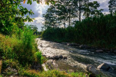 Serene nehri Kolombiya 'nın verimli topraklarında kayalar, otlar ve bulutlu gökyüzüyle akıyor.