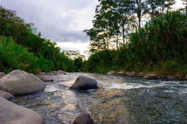 Kolombiya 'nın yemyeşil nehir manzarası, akan su, bambu, kaya ve bitki örtüsünün ortasındaki kırsal yapı.