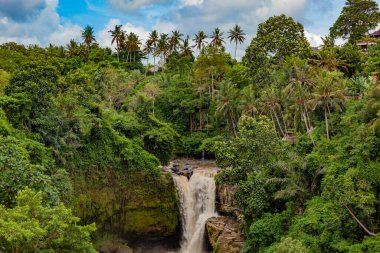 Bali 'deki tropik bir adada güzel bir şelale.