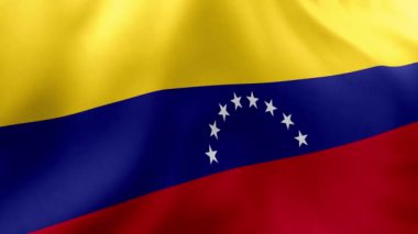 Venezuela 'nın dalgalı bayrağının 3 boyutlu görüntüsü