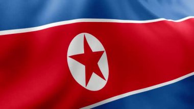 Kuzey Kore bayrağı