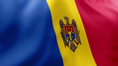 Romanya bayrağının dalgalandığı Moldova bayrağının 3 boyutlu resmi