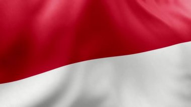 Beyaz arkaplanda Endonezya bayrağı, kapatın