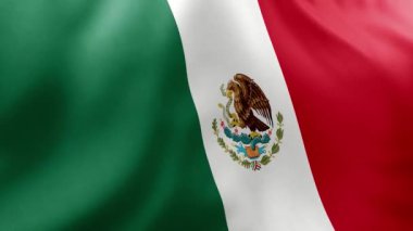 Meksika ve Meksika bayrakları ulusal bayrak taşıyor.
