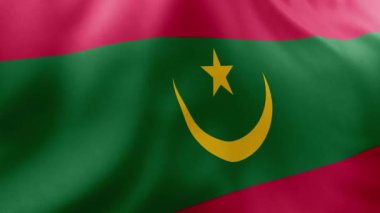 Ülke bayrağı taşıyan Cezayir bayrağı, 3 boyutlu illüstrasyon
