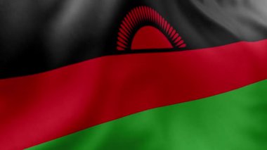 Birleşik Arap Emirlikleri bayrağı, yaklaşın.