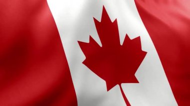 Arka planda Kanada bayrağı