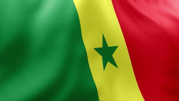 Flagga Guinea Bissau Vinka Vinden — Stockvideo