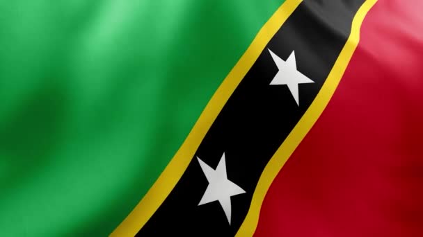 Die Flagge Von Saint Kitand Und Nevis Weht Wind Nahsicht — Stockvideo