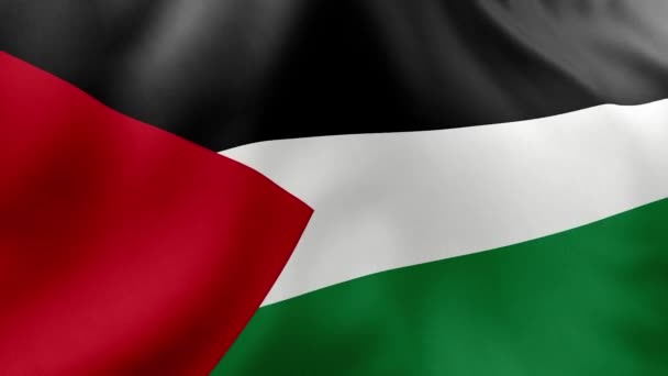 Mávání Vlajkou Jordana Ilustrace — Stock video