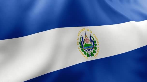 Bandera Del Salvador Ondeando Viento Ilustración — Vídeo de stock