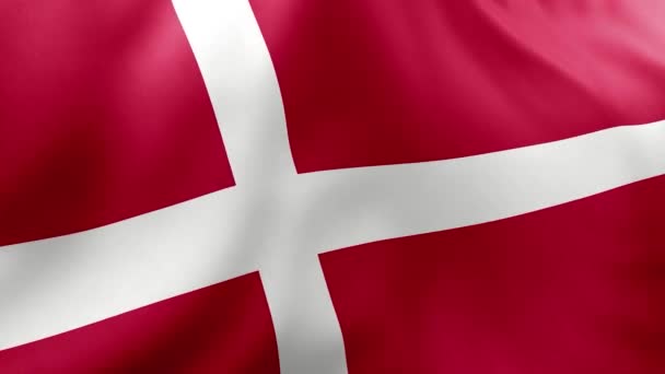 Bandiera Della Danimarca Sventola Nel Vento — Video Stock