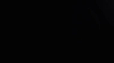 fantezi kaotik renkli fraktal desen. Soyut fraktal şekiller. 3d resimleme arkaplanı veya duvar kağıdı oluşturuluyor