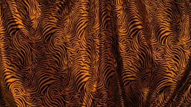 Tigerstruktur Hud Bakgrund Tigerhud — Stockvideo