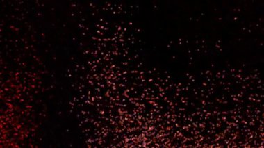 kırmızı ve siyah soyut arkaplan.