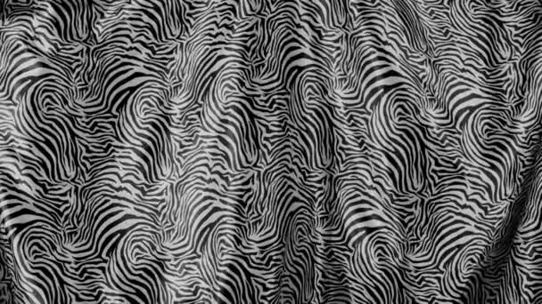 Textuur Van Zwarte Witte Zebrahuid Dierenhuid — Stockvideo