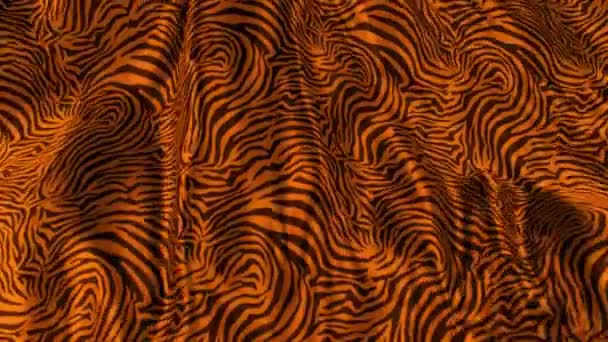 Tigre Animale Sfondo Carino — Video Stock