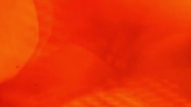 soyut kırmızı ve sarı bokeh bulanık arkaplan