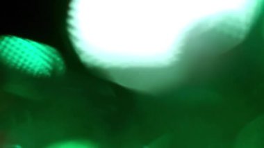 yeşil arkaplan, bulanık ışıklar