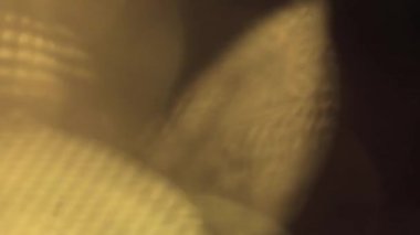 Bulanık bokeh ışık arkaplanı - güzel doku