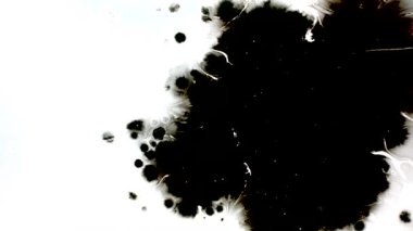 mürekkep ve fırça darbeleri