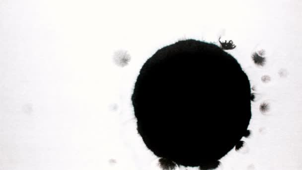Abstrakter Schwarzer Tintenfleck Chinesische Tinte Hintergrund Aquarellpapier Splatter — Stockvideo