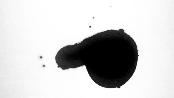 Mancha Tinta Negra Textura Acuarela — Vídeo de stock