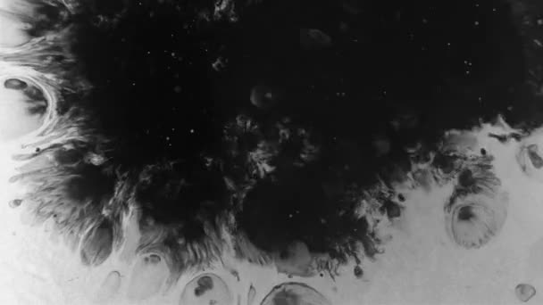 Zwarte Witte Achtergrond Met Waterdruppels — Stockvideo