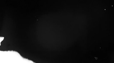 siyah fırça darbesi dokusu. soyut arkaplan el - boyanmış doku.