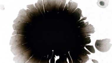 metin için alanı olan grunge arkaplanı