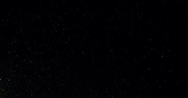 Gecenin yıldızları