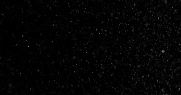 雪が降ると黒の背景 ストック映像