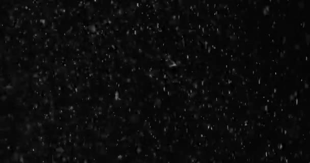 Sfondo Bianco Neve Con Sfondo Nero — Video Stock