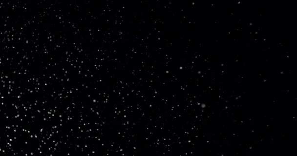Étoiles Dans Ciel Nocturne — Video
