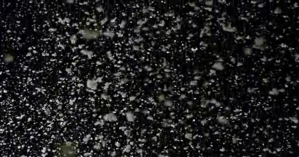 黒い雪の背景の質 黒い背景 — ストック動画