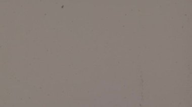 Metin için alanı olan soyut arkaplan