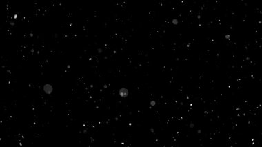 snow falling isolated on black background.