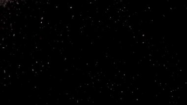 Siyah arka planda noel ışıkları