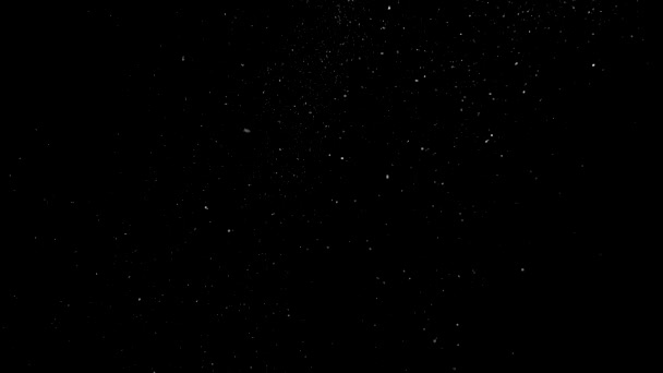 Étoiles Sur Fond Noir — Video