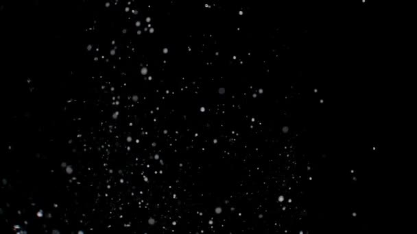 Schneeflocken Auf Schwarzem Hintergrund — Stockvideo