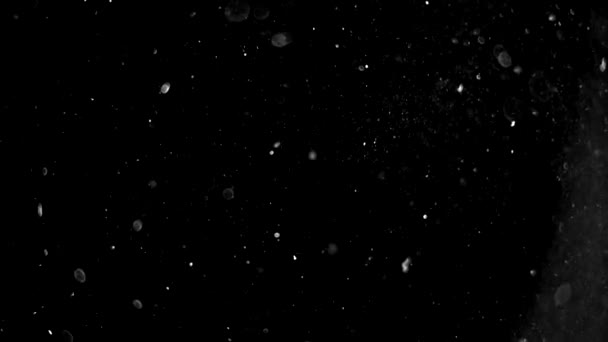 ブラックバックの抽象的な雪のフレーク クリスマスの休日の概念 — ストック動画