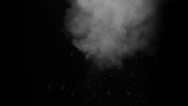 Explosion Abstraite Poudre Blanche Sur Fond Noir — Video