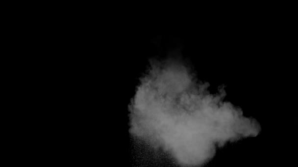 黒の背景に抽象的な白い粉爆発 — ストック動画