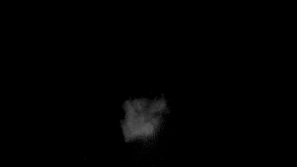 Абстрактный Фон Монохромная Текстура Черный Белый Текстурированный Фон — стоковое видео