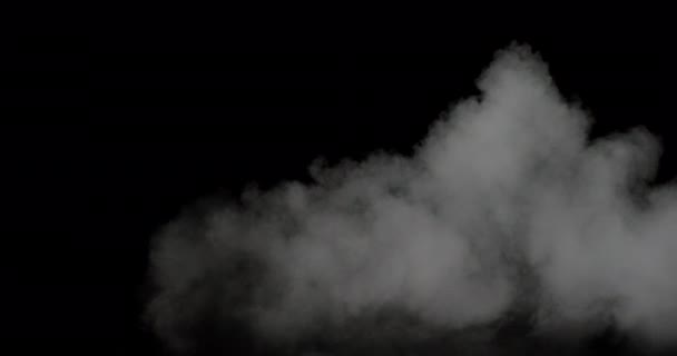 Weißer Nebel Oder Rauch Auf Dunklem Kopierraum Hintergrund Zeitlupe Wolke — Stockvideo
